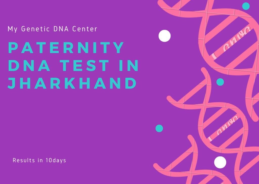 Paternity DNA Test in Jharkhand, Paternity DNA Test Cost in Jharkhand, Types of Paternity DNA Test in Jharkhand, Home DNA Test in Jharkhand