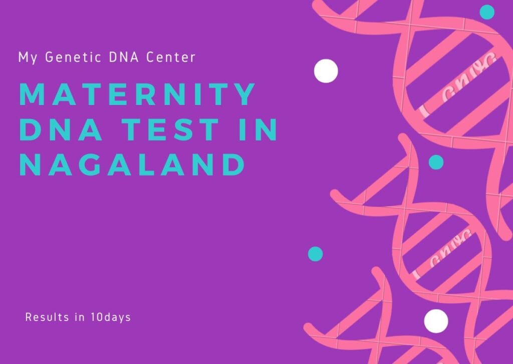 Maternity DNA Test in Nagaland, Maternity DNA Test Cost in Nagaland, Types of Maternity DNA Test in Nagaland, Home DNA Test in Nagaland