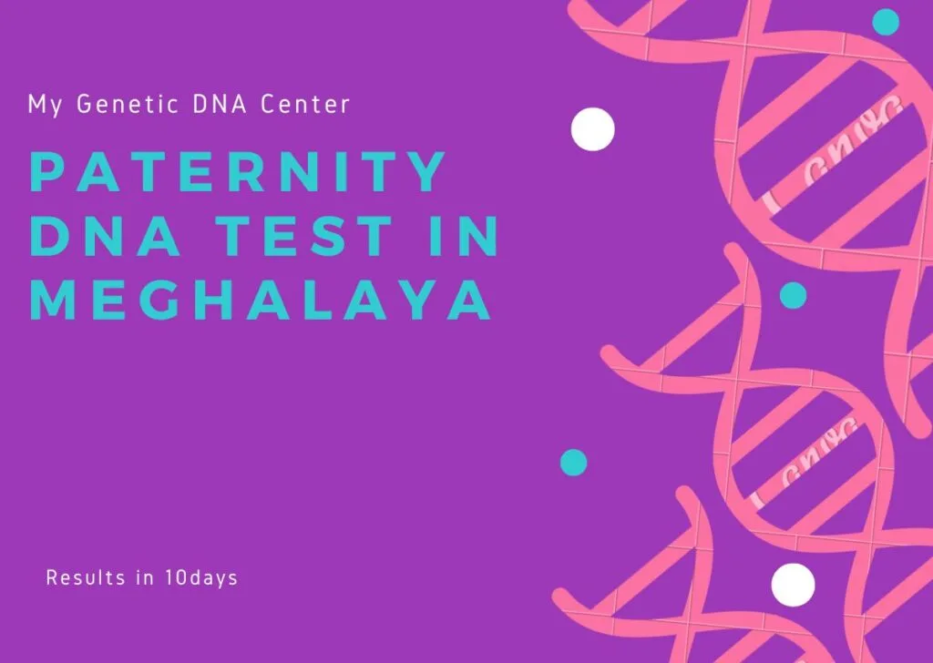 Paternity DNA Test in Meghalaya, Paternity DNA Test Cost in Meghalaya, Meghalaya, Home DNA Test in Meghalaya