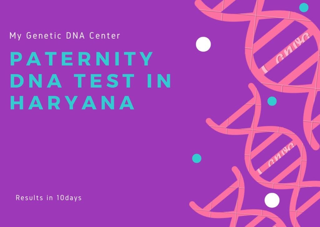 Paternity DNA Test in Haryana, Paternity DNA Test Cost in Haryana, Types of Paternity DNA Test in Haryana, Home DNA Test in Haryana